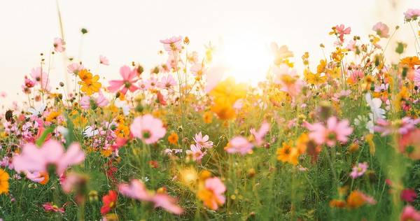 Quelle: AdobeStock_tuiphotoengineer